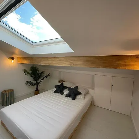 Rénovée Avec Accès Plage, Clim, Wifi, Parking - Fr-1-413-248 Capbreton